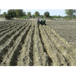 سیاست دولت برای توسعه سیستان و بلوچستان