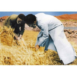 سفر رئیسجمهور به یاسوج